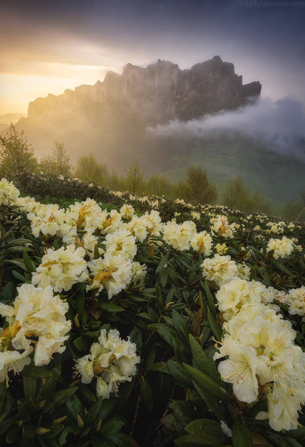 тхач, большой тхач, фототур, яковлевфототур, кавказ, адыгея, Василий Яковлев