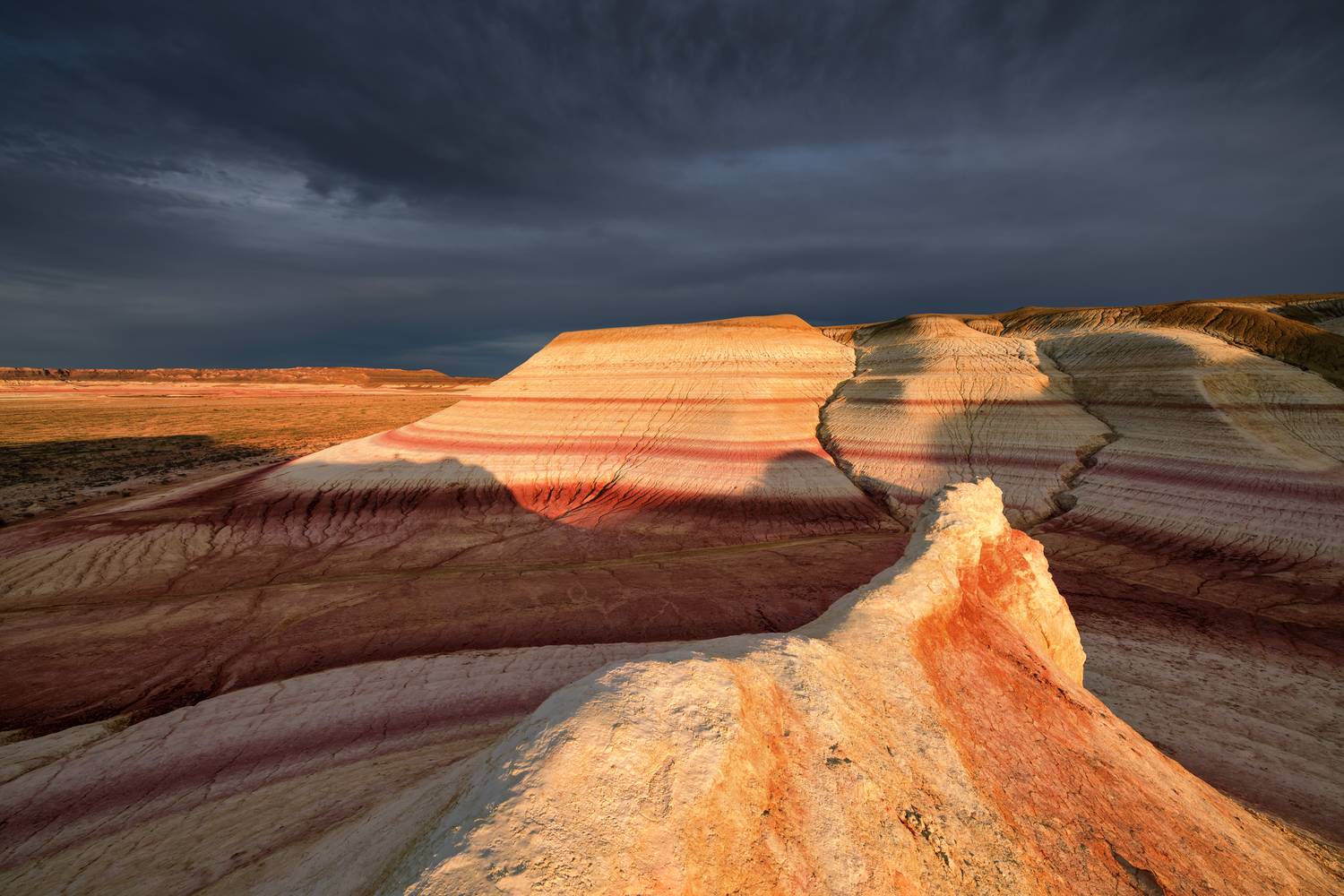 , Евдокимов Максим