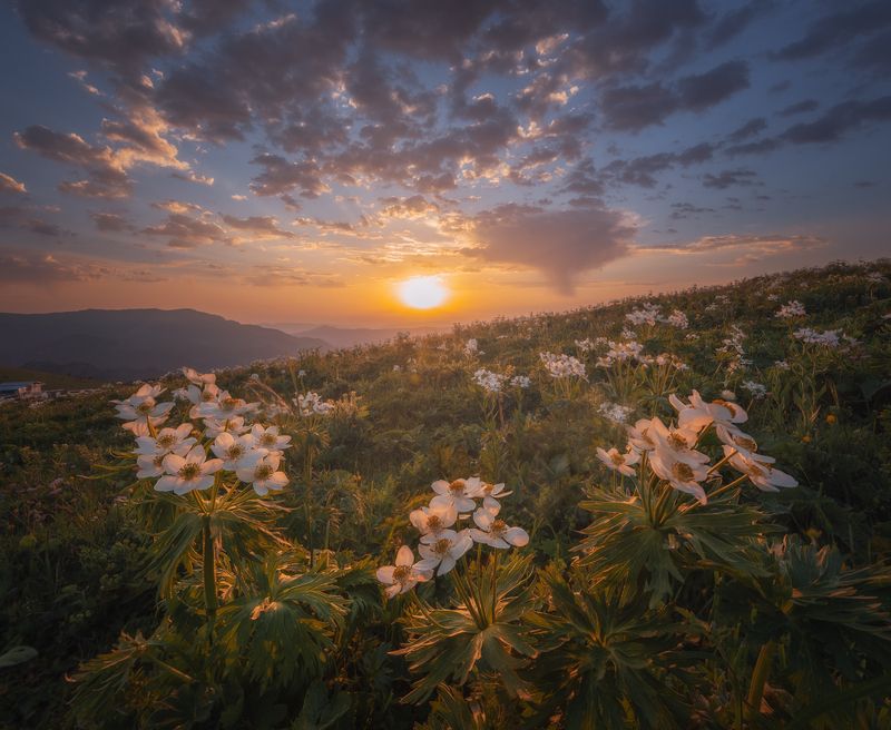 Рассветное) фото превью