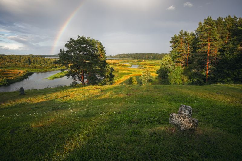 nature, outdoors, grass, forest, landscape, tree, rural scene, meadow, green color, summer, beauty in nature, yellow, sun, sunlight, cloud, sky, sunset, rainbow, пейзаж, природа, тучи, радуга, савкина горка Летняя фото превью