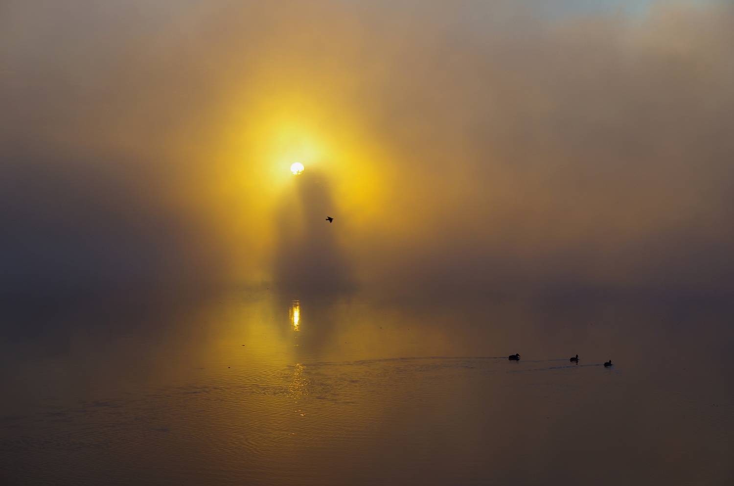 , Шляга Сергей