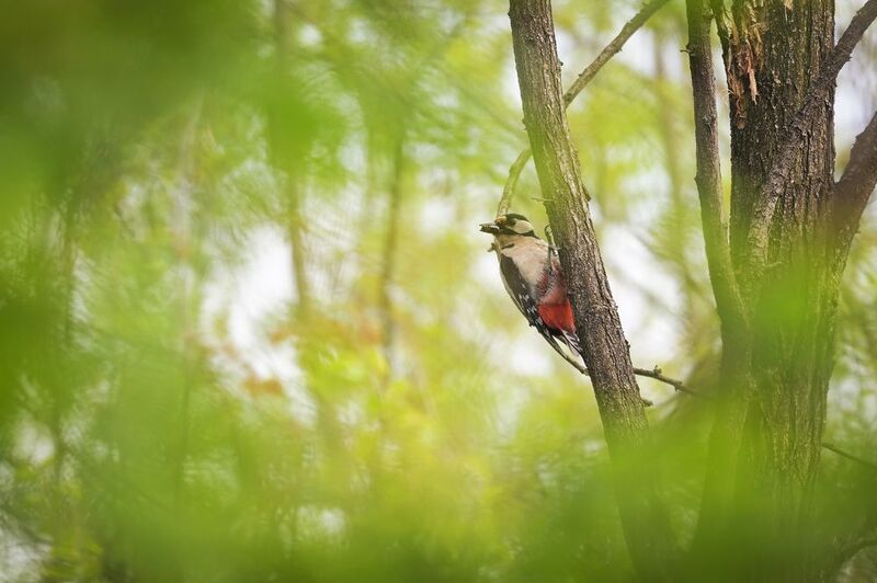2025 фото превью