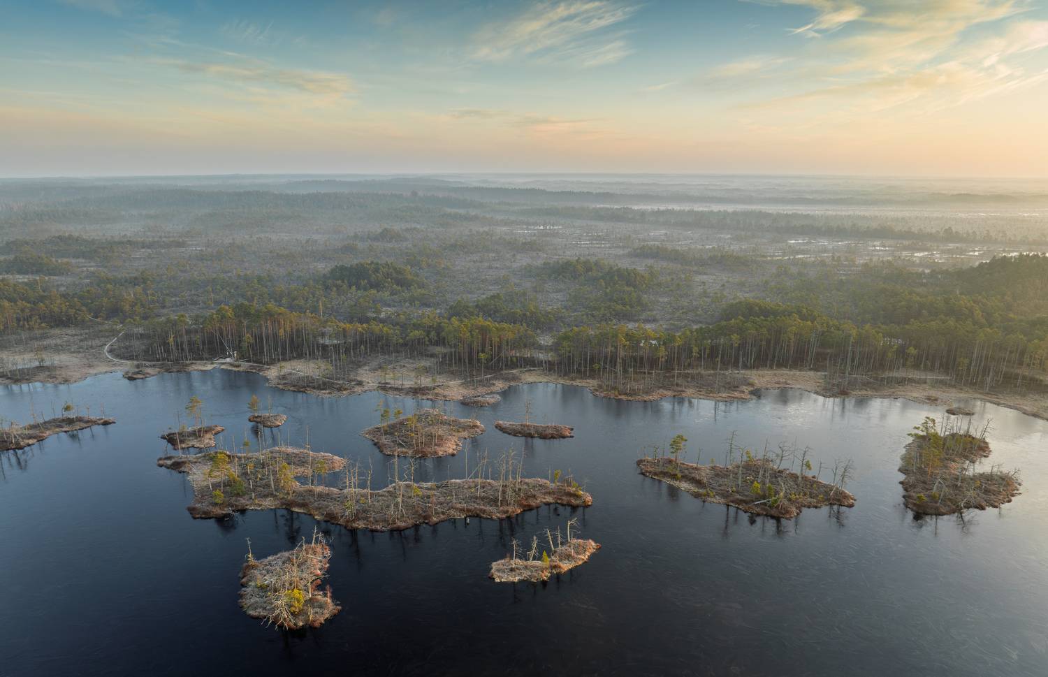 , Гордон Николай