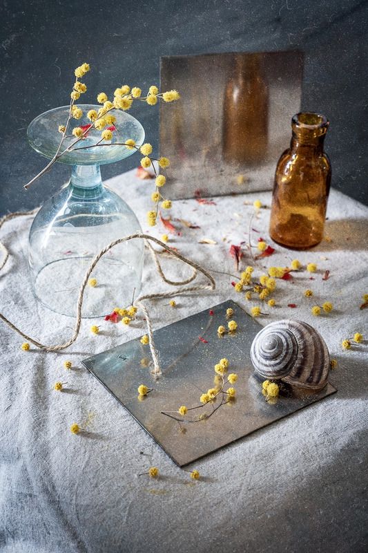 Натюрморт с мимозой фото превью