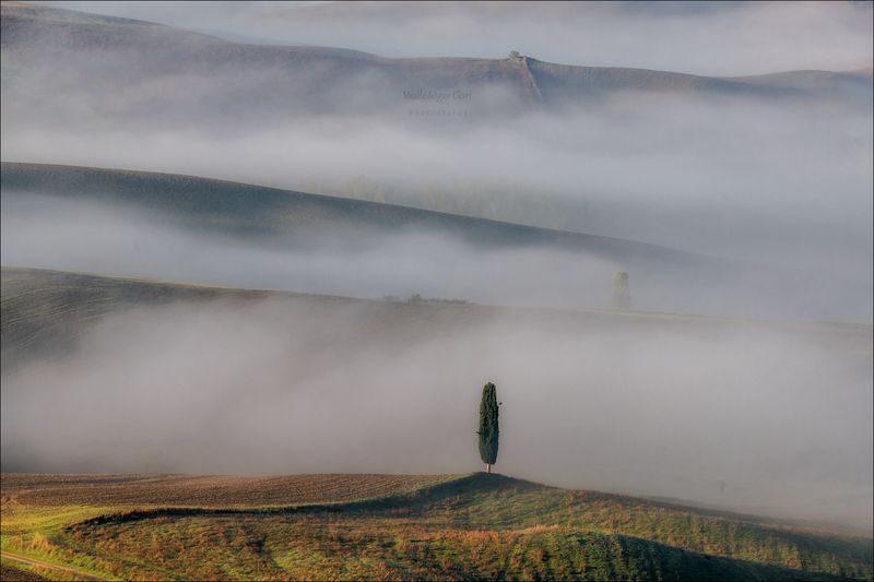 italy,san quirico d \' orcia,italia,туман,италия,тоскана,pienza,кипарис,toscana,осень,tuscany,cipressi,belvedere,пьенца,fog Туманные перекаты фото превью