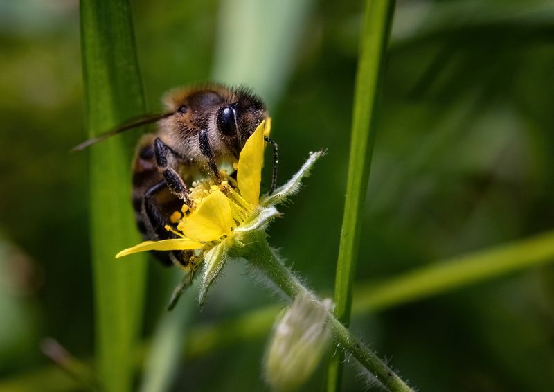 I\'m shy фото превью