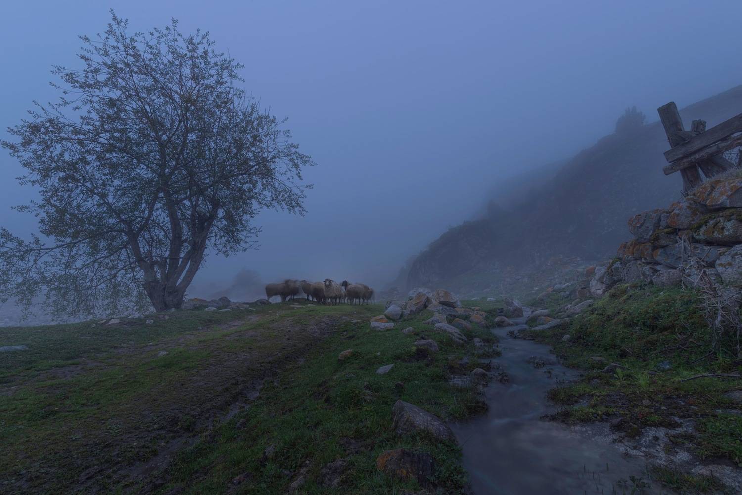 , Ширгин Сергей