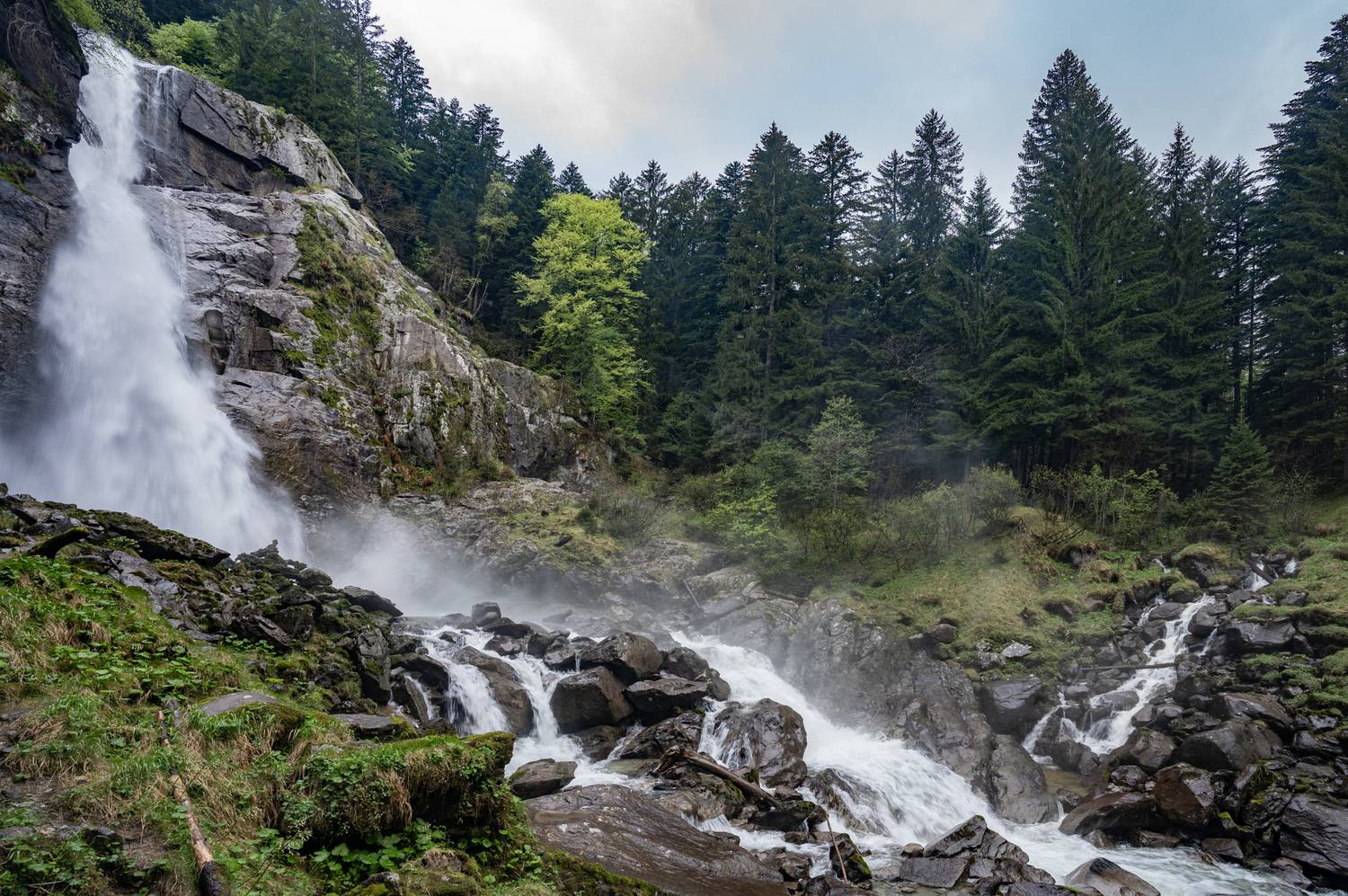 , Дария Максимова