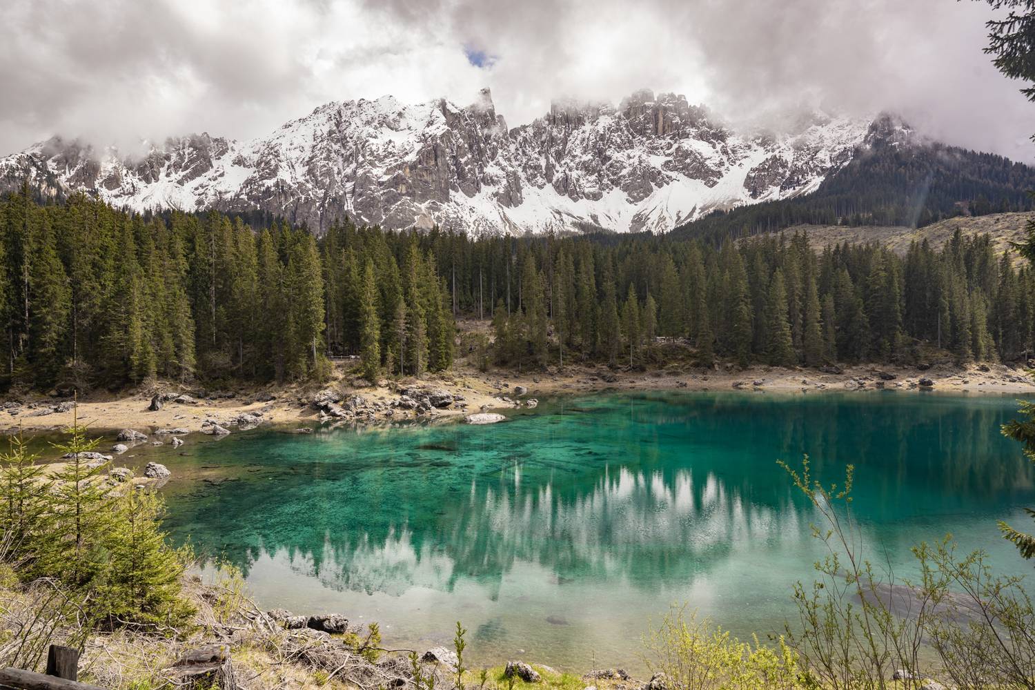 , Дария Максимова