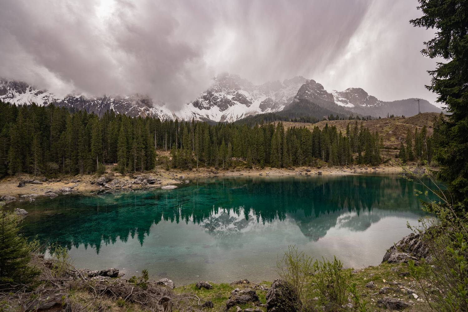 , Дария Максимова