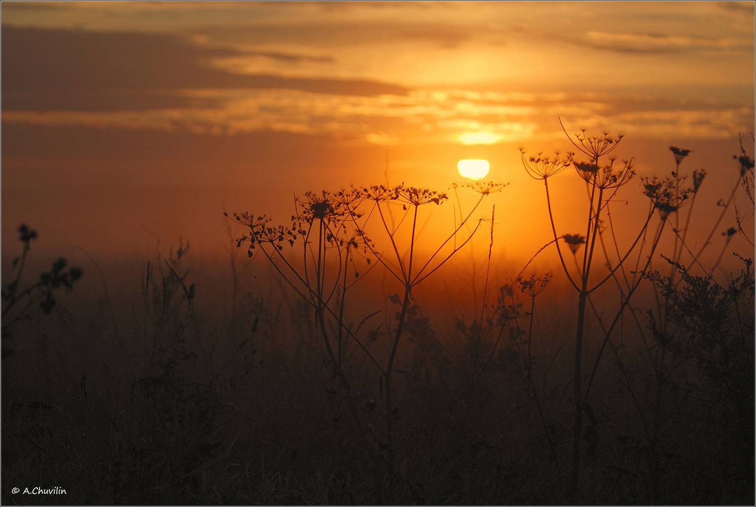 август,закат,травы, Александр Чувилин