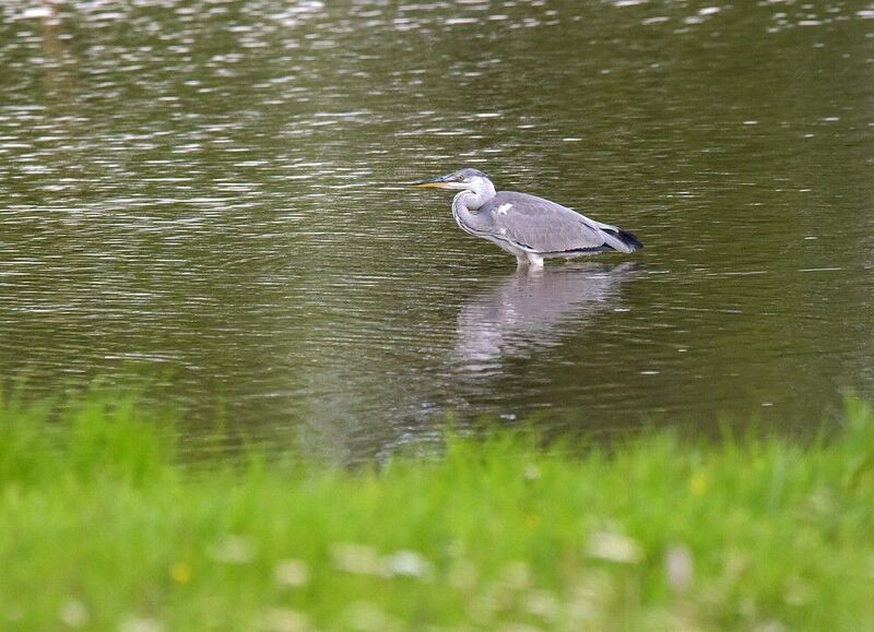 Рыбачка фото превью