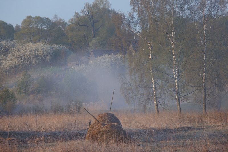 Утро туманное фото превью
