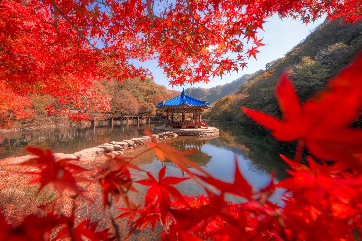 южная корея, осень, клены, Kaznov Stanislav