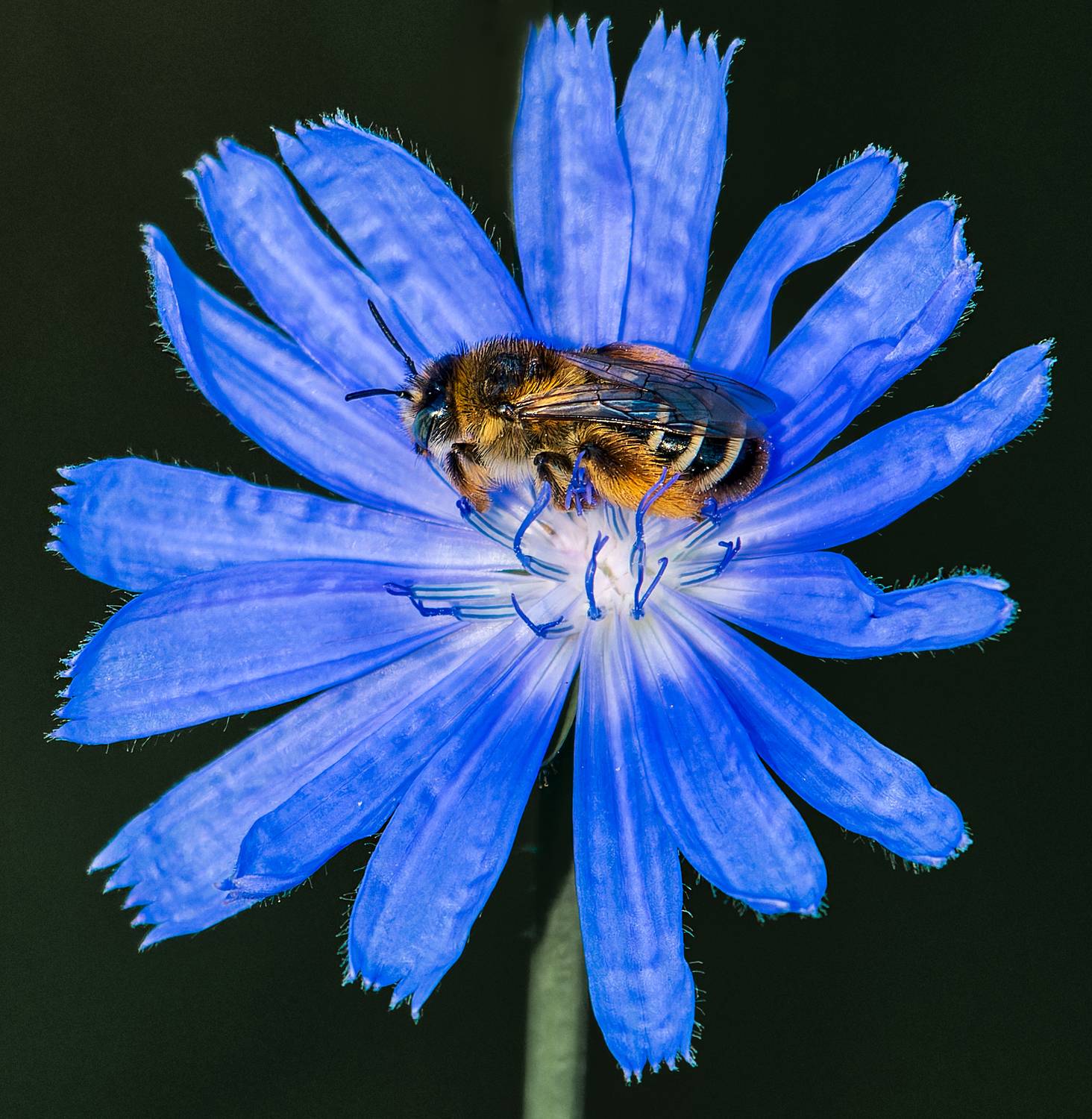 , Фото Александр