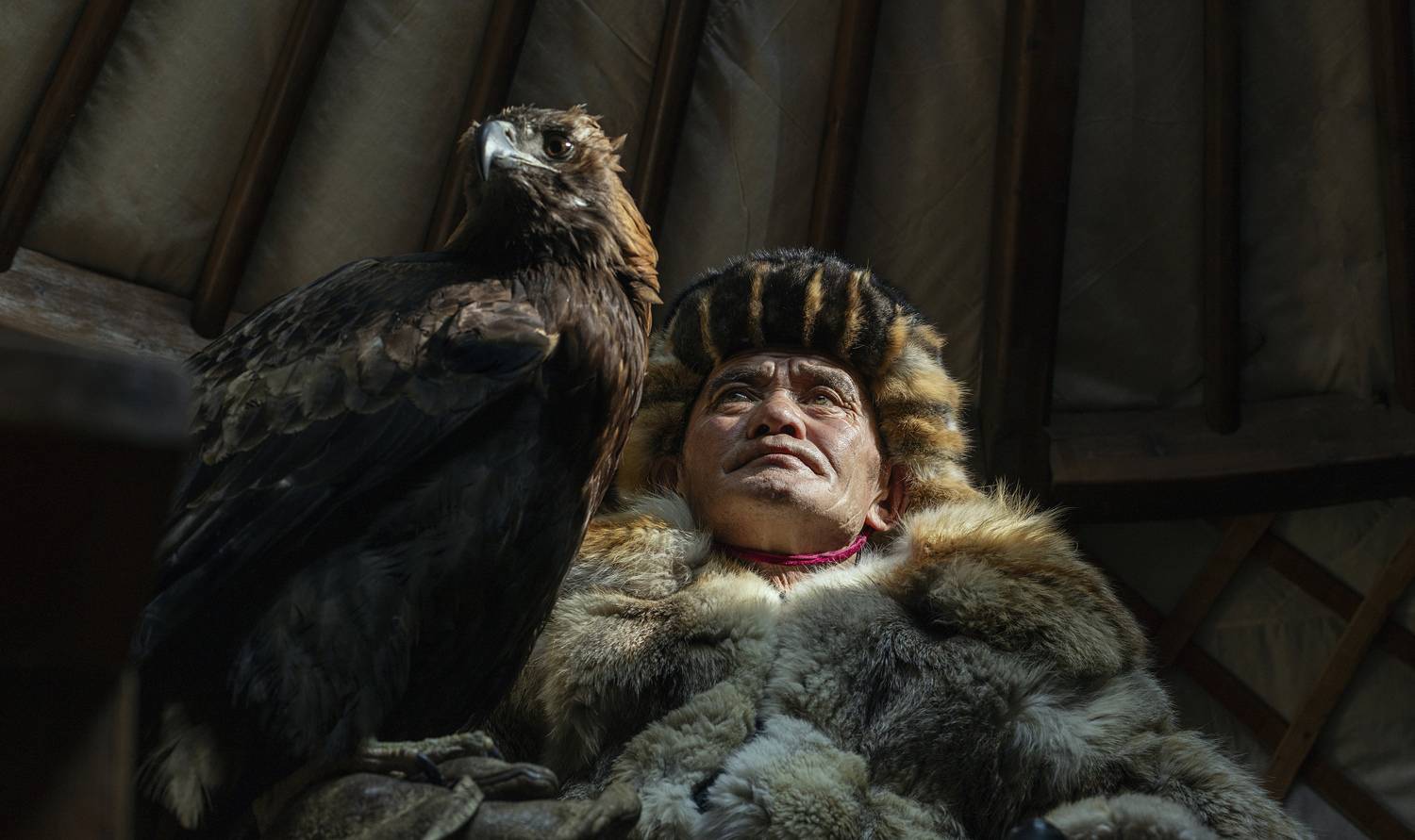 Mongolian eagle hunting festival, ganzorig miimaa