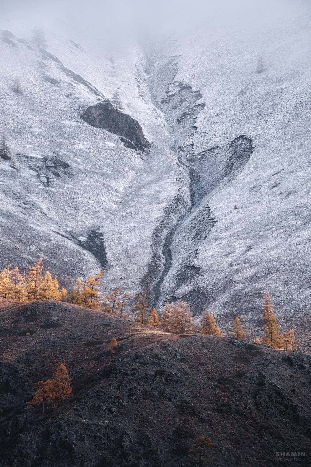 , Константин Шамин