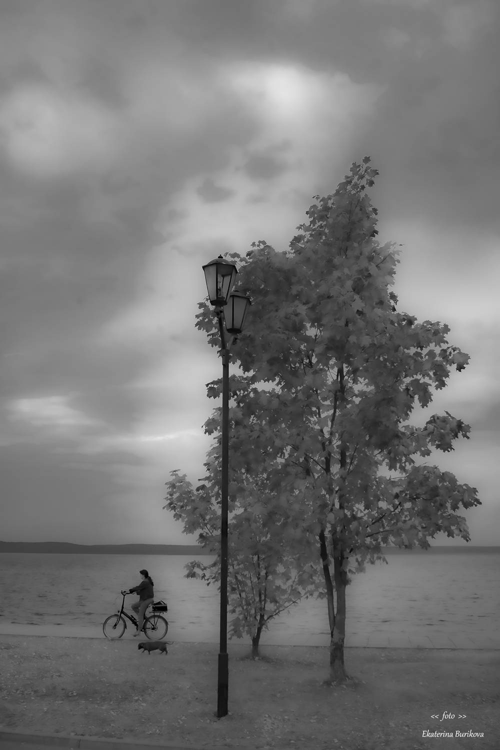 , Бурикова Екатерина