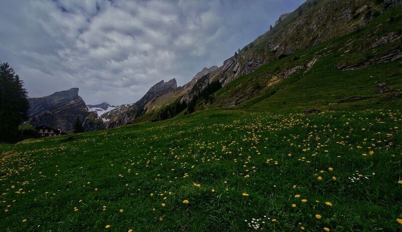 Альпийский луг фото превью