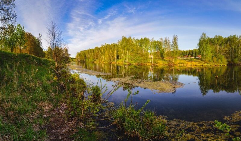 Тула, Шувайка, Серебряные ключи, Щегловская засека Пруд в Серебряных Ключах фото превью