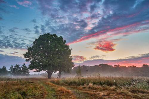 Утро на Березине