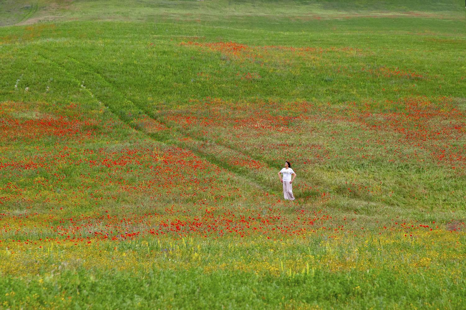 sigma sd quattro, Дмитрий Цыпляев