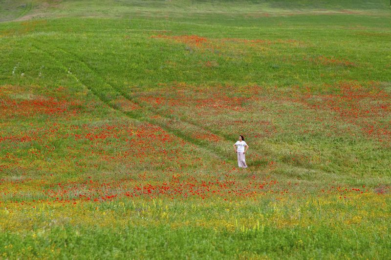 sigma sd quattro ***** фото превью