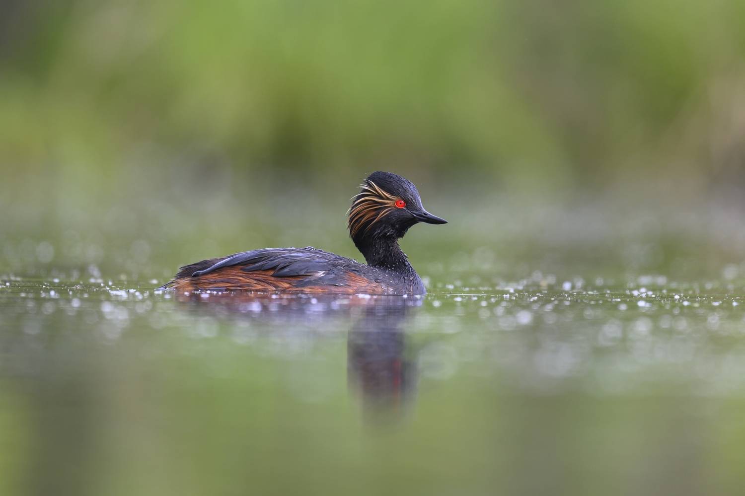 , Пупонин Сергей