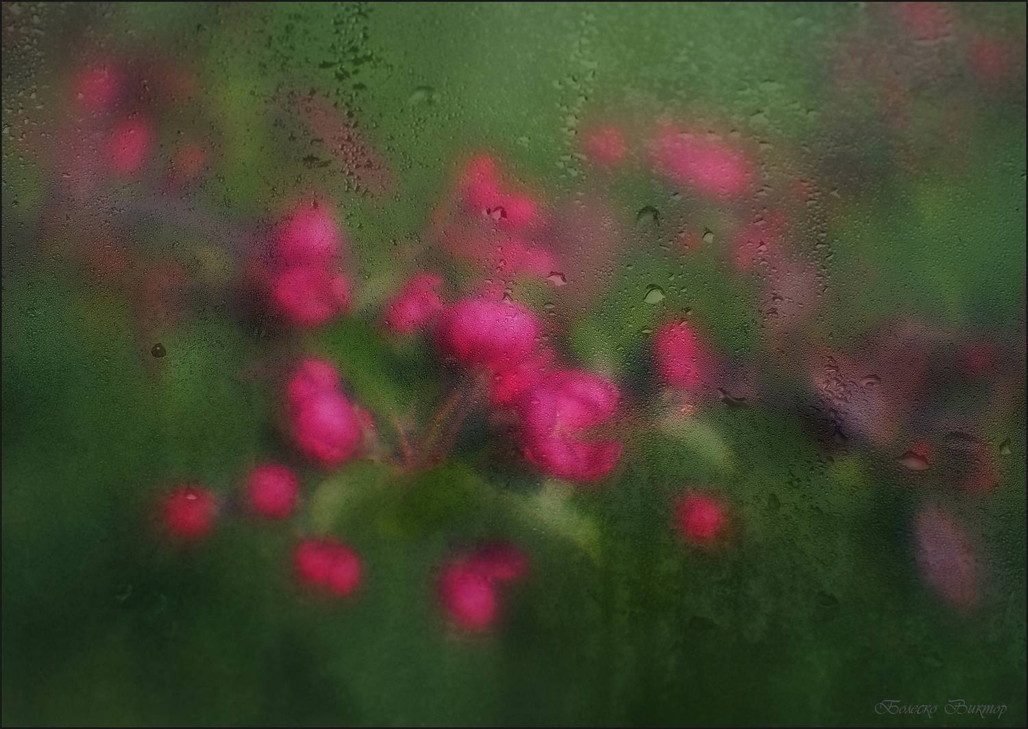 монокль, индустар-50, artрhoto, manuallens, художественное фото, Болеско Виктор