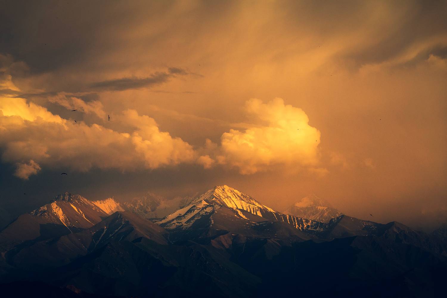 кыргызстан, кыргыз  ала-тоо, Элина Магалимова