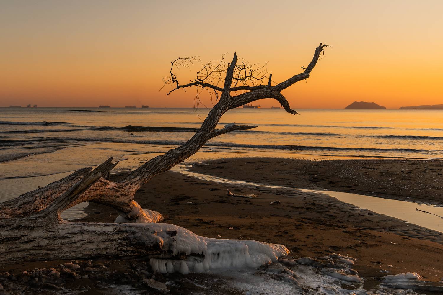 , Дмитрий Рудаков