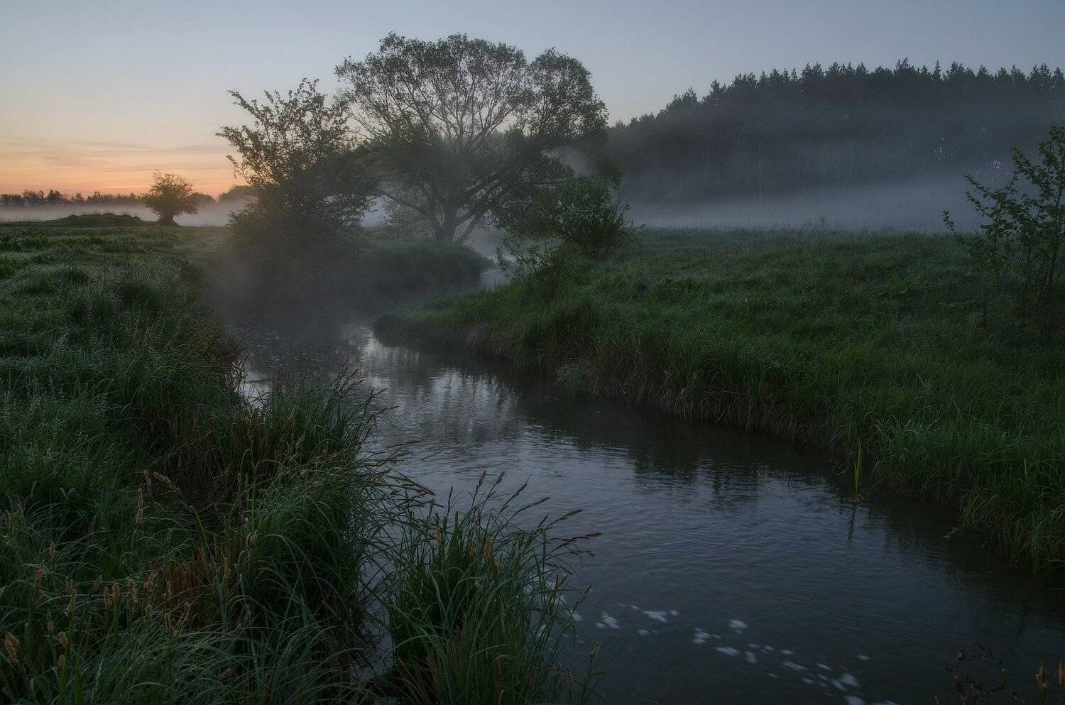 , Сергей Добровольский