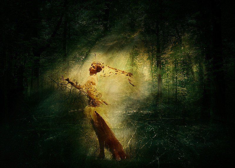 Firebird Firebird фото превью