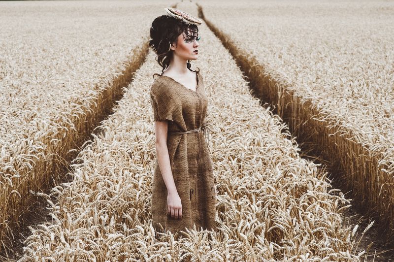 wheat .wheat. фото превью