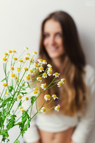 Flower Series: Daisy