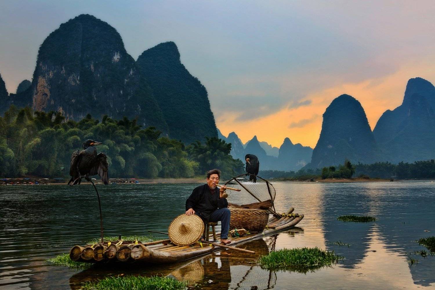 китай, река, рыбалка, река ли, птицы, Slavado