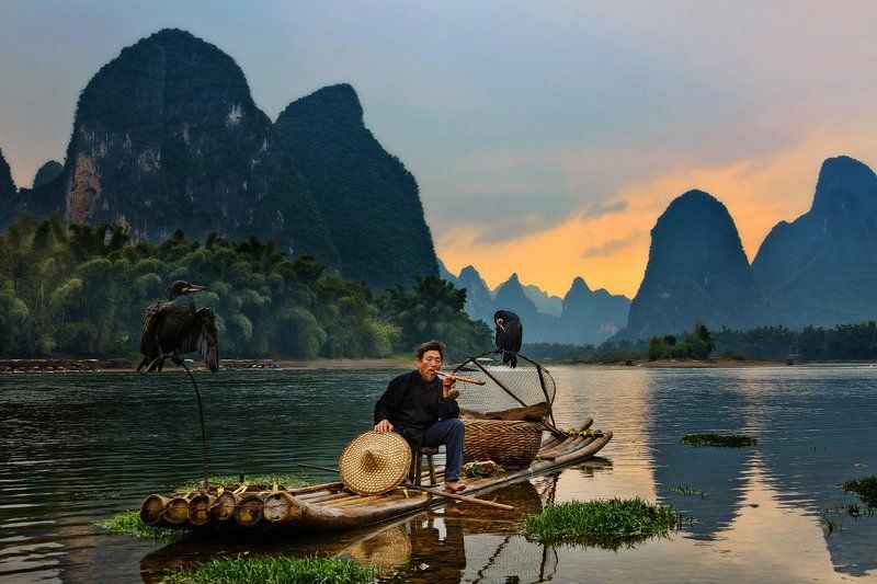 китай, река, рыбалка, река ли, птицы Рыбак с бакланами фото превью