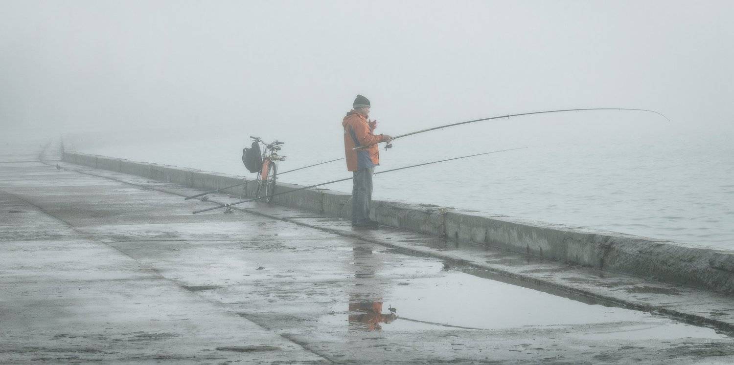 , Анатолий Щербак