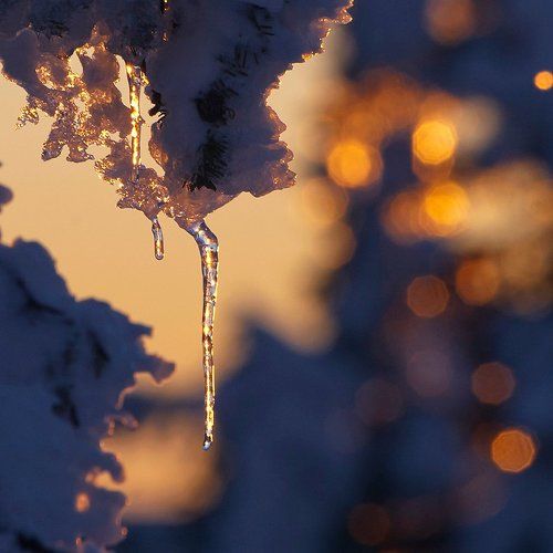 С первым днём весны!