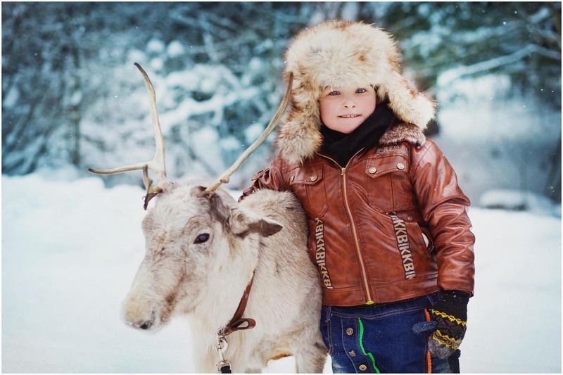 Лес, дети , олень, зима Зимняя проулка фото превью