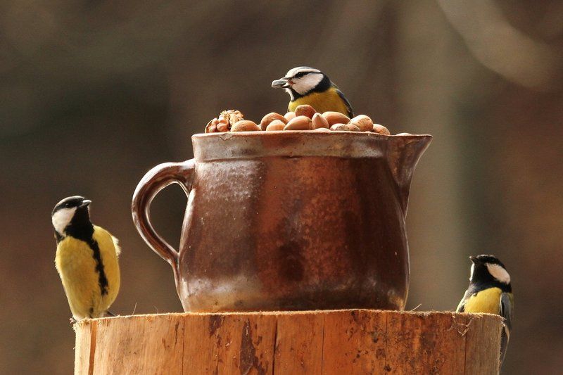 Tитьки фото превью