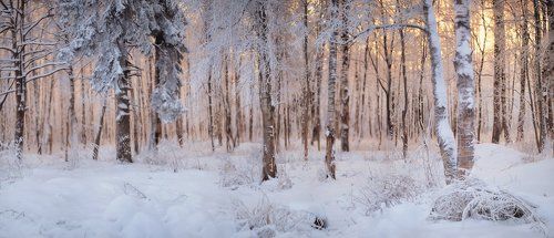 Зимние мотивы
