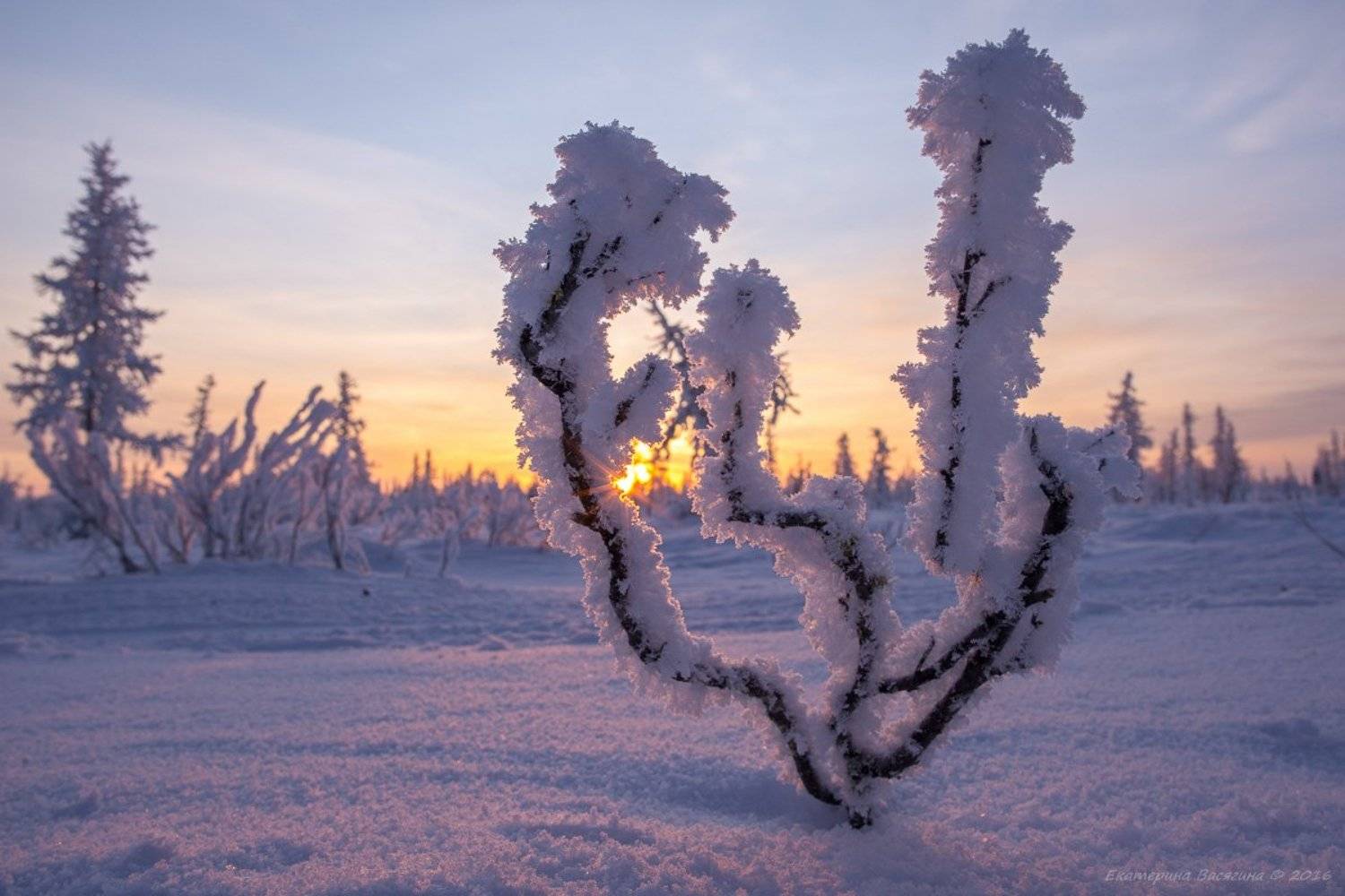ямал, зима, Екатерина (PhotoJourneys.ru) Васягина