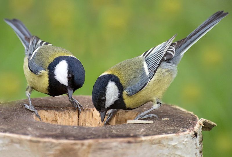 Вот как бывает... фото превью