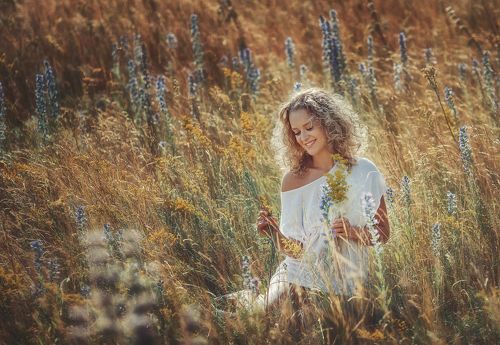 осеннее поле