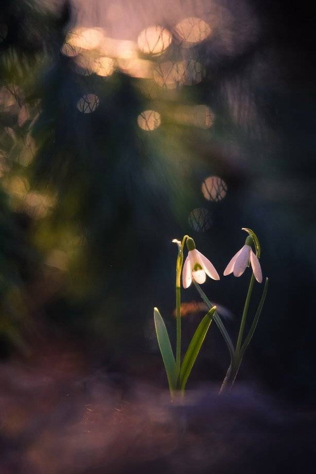 , Вячеслав Мищенко