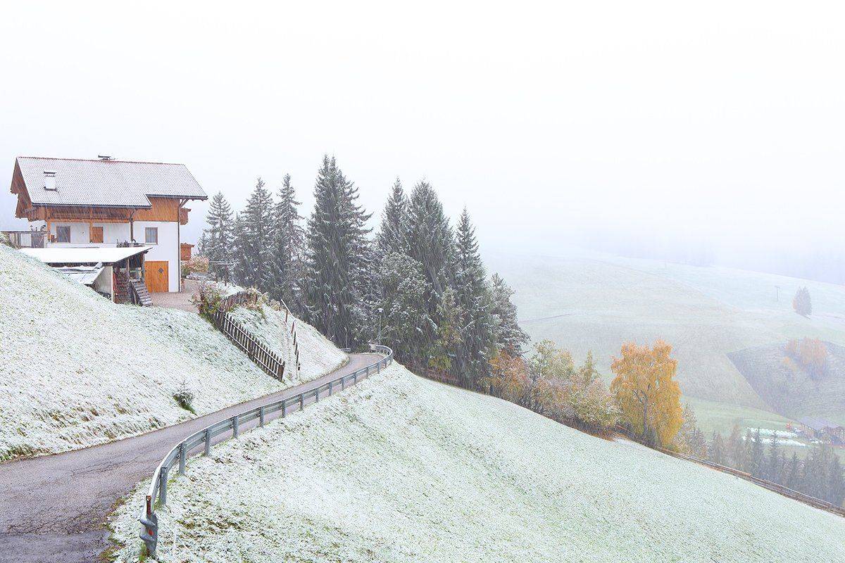 , Игорь Дубровский