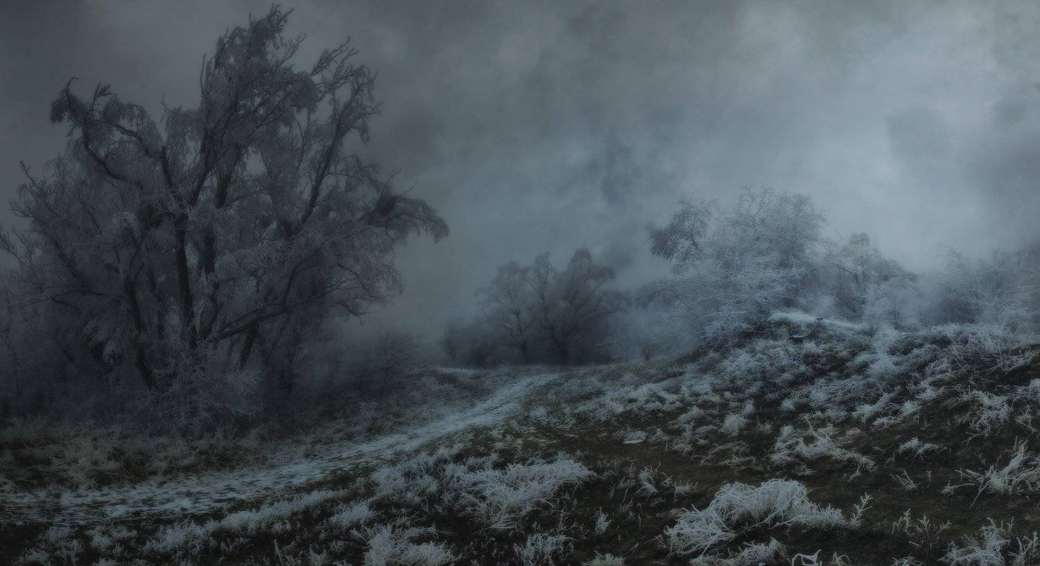 зима, природа , февраль, Михаил  Пилипенко