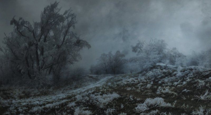 *** фото превью