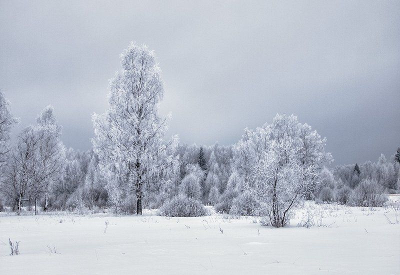 Конец зимы под Ярославлем фото превью